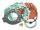 CYLINDER SEAL SET 65 SX 2009-2016